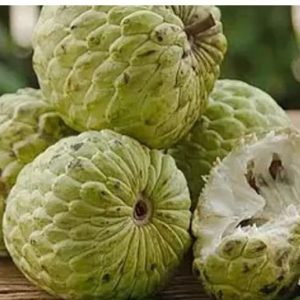 Custard Apple