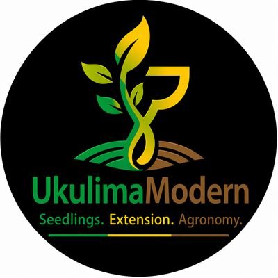 Ukulima Modern Seedlings