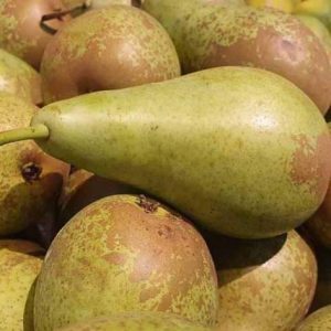 Pears
