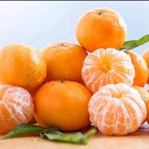 Tangerine/Sandara/Mandarins/Chenza