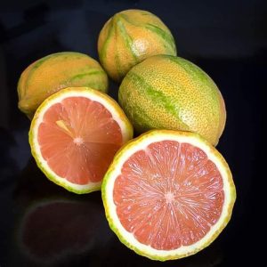 Variagated Lemon