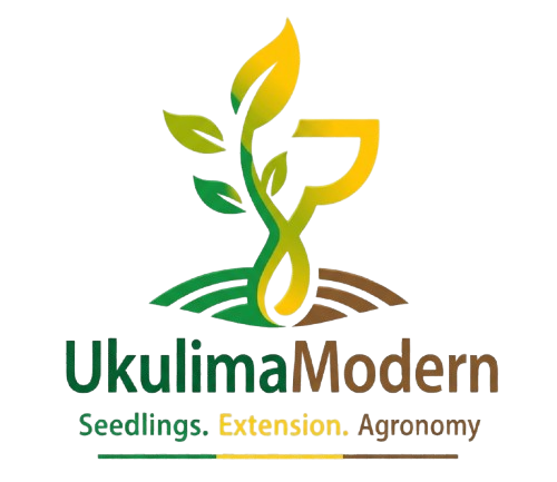 Ukulima Modern Seedlings