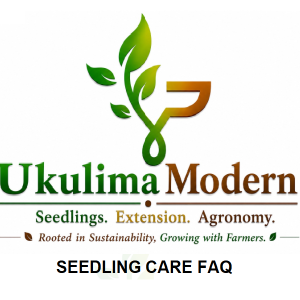Seedling Care FAQ - UkulimaModern